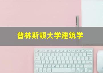 普林斯顿大学建筑学