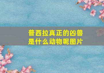 普西拉真正的凶兽是什么动物呢图片