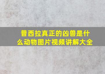 普西拉真正的凶兽是什么动物图片视频讲解大全