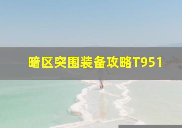 暗区突围装备攻略T951