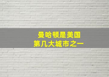 曼哈顿是美国第几大城市之一