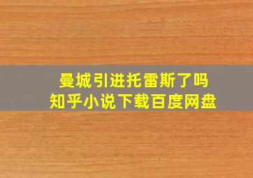 曼城引进托雷斯了吗知乎小说下载百度网盘