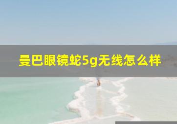 曼巴眼镜蛇5g无线怎么样