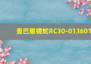 曼巴眼镜蛇RC30-013601