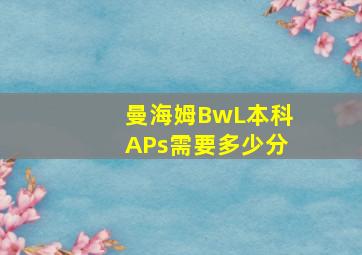 曼海姆BwL本科APs需要多少分