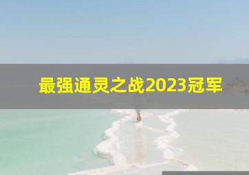 最强通灵之战2023冠军