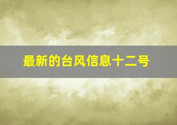 最新的台风信息十二号