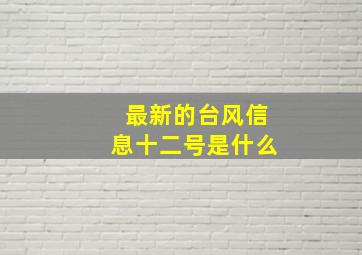 最新的台风信息十二号是什么