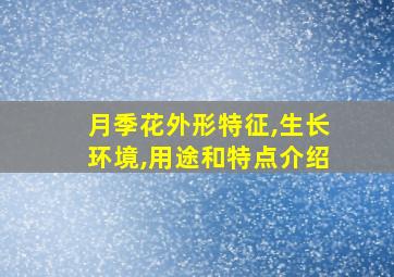 月季花外形特征,生长环境,用途和特点介绍