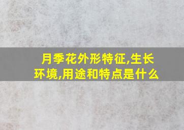 月季花外形特征,生长环境,用途和特点是什么