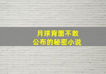 月球背面不敢公布的秘密小说