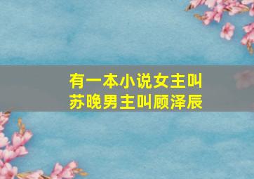 有一本小说女主叫苏晚男主叫顾泽辰