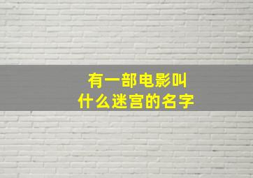 有一部电影叫什么迷宫的名字