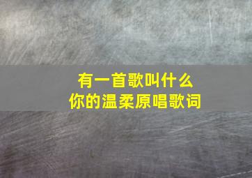 有一首歌叫什么你的温柔原唱歌词