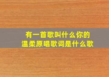 有一首歌叫什么你的温柔原唱歌词是什么歌