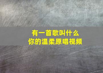 有一首歌叫什么你的温柔原唱视频