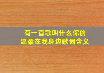 有一首歌叫什么你的温柔在我身边歌词含义