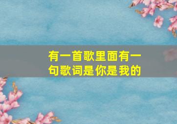 有一首歌里面有一句歌词是你是我的