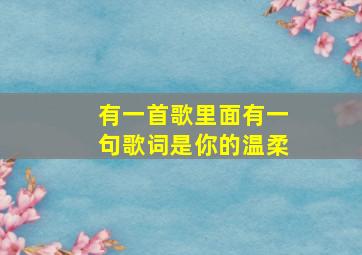 有一首歌里面有一句歌词是你的温柔