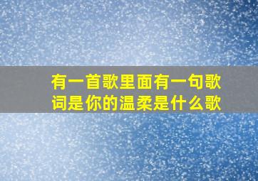 有一首歌里面有一句歌词是你的温柔是什么歌