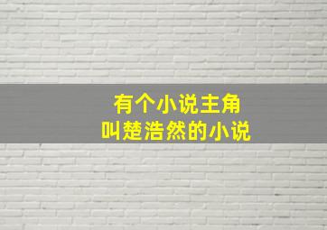 有个小说主角叫楚浩然的小说