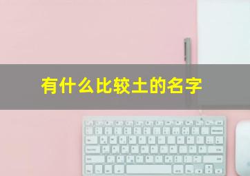 有什么比较土的名字