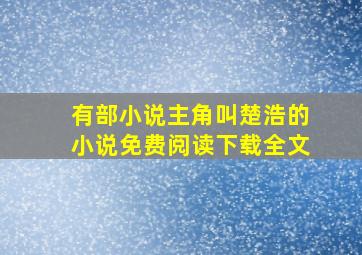 有部小说主角叫楚浩的小说免费阅读下载全文