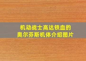 机动战士高达铁血的奥尔芬斯机体介绍图片