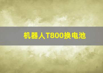 机器人T800换电池