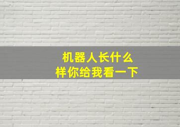 机器人长什么样你给我看一下