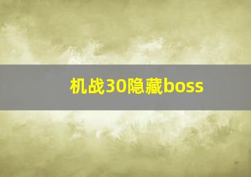 机战30隐藏boss