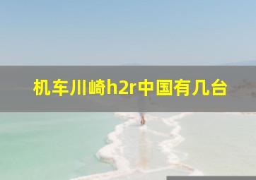 机车川崎h2r中国有几台