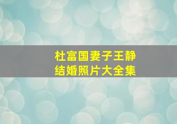 杜富国妻子王静结婚照片大全集