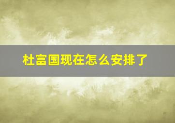 杜富国现在怎么安排了