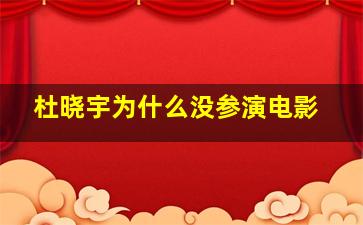 杜晓宇为什么没参演电影