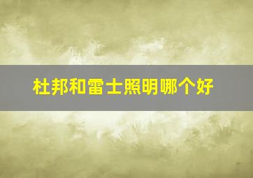 杜邦和雷士照明哪个好