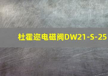 杜霍迩电磁阀DW21-S-25