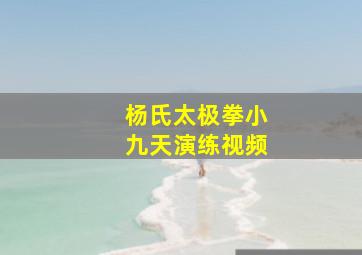 杨氏太极拳小九天演练视频