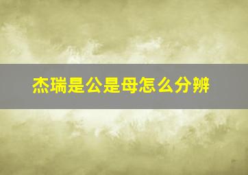 杰瑞是公是母怎么分辨