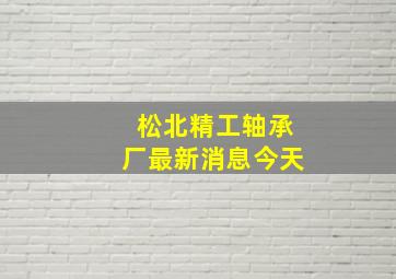 松北精工轴承厂最新消息今天