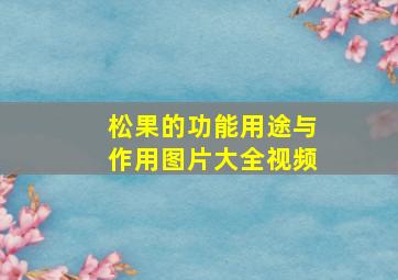 松果的功能用途与作用图片大全视频