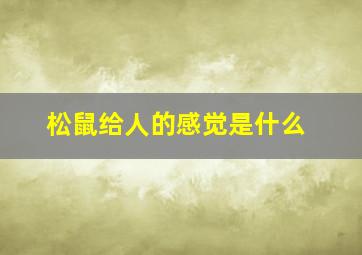 松鼠给人的感觉是什么