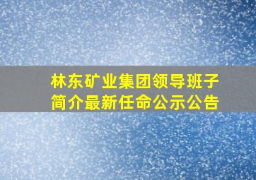 林东矿业集团领导班子简介最新任命公示公告