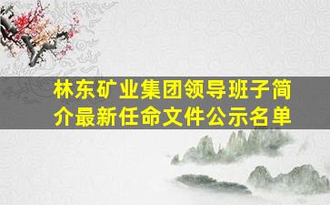 林东矿业集团领导班子简介最新任命文件公示名单