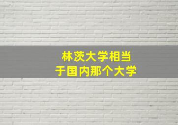 林茨大学相当于国内那个大学