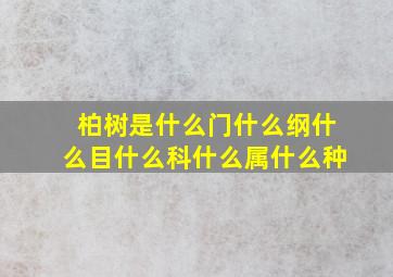 柏树是什么门什么纲什么目什么科什么属什么种