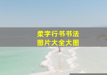 柔字行书书法图片大全大图