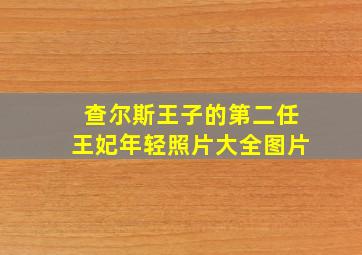 查尔斯王子的第二任王妃年轻照片大全图片