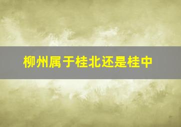 柳州属于桂北还是桂中