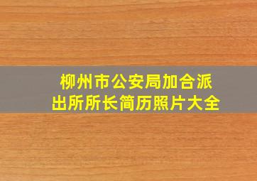 柳州市公安局加合派出所所长简历照片大全